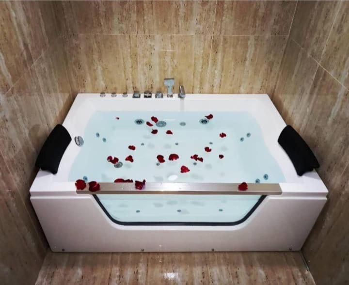 Mistik Secret Apartments Ягодина Екстериор снимка